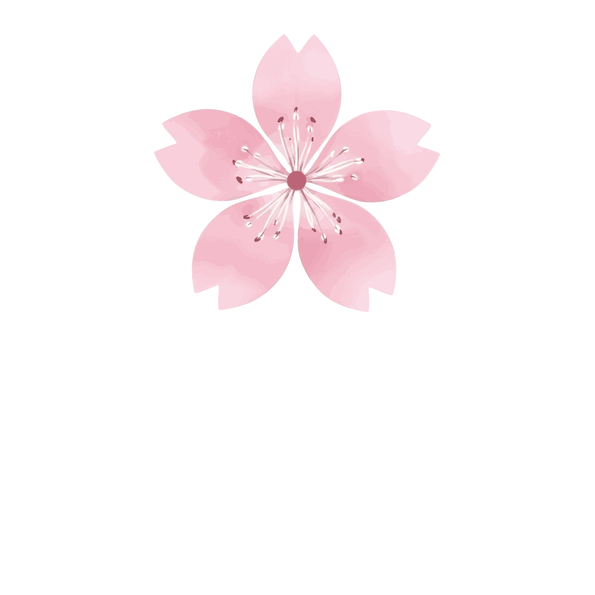 Soi YIPUN