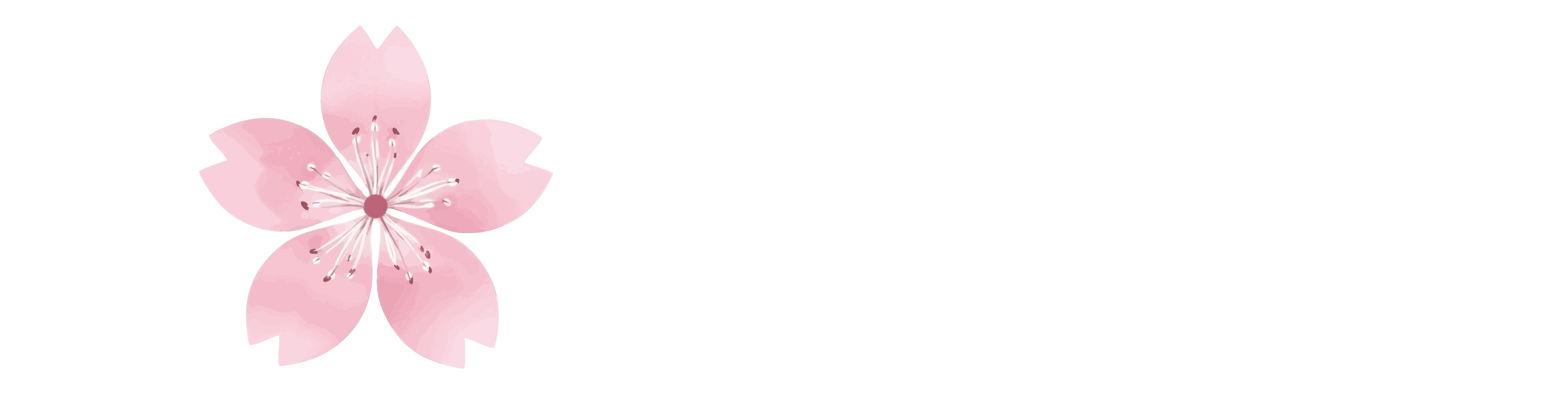 Soi YIPUN